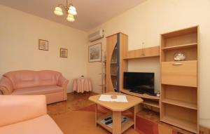 TV/Unterhaltungsangebot in der Unterkunft Apartments Zdravko