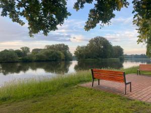 two park benches sitting next to a body of water at Cottage by the Jizera river in Nový Vestec