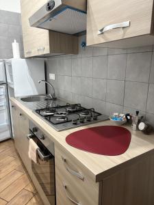 a kitchen with a stove and a red rug on the counter at Mavianto in Torre le Nocelle
