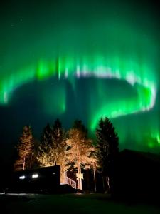 an image of the northern lights in the sky at The Saunacabin Enchanted Lapland in Rovaniemi