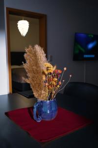 TV a/nebo společenská místnost v ubytování Apartment 4