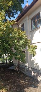 Aed väljaspool majutusasutust Villa Fonyód