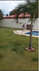 a palm tree in a yard next to a pool at Green club in Caucaia