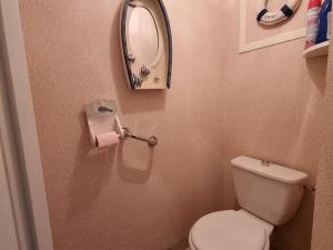ein kleines Bad mit einem WC und einem Spiegel in der Unterkunft Appartement T3 Duplex, 4 Pers, Centre Sarzeau, Balcon - FR-1-775-18 in Sarzeau + 19 Fotos