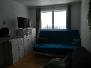 Χώρος καθιστικού στο Studio cosy 3 pers, proche pistes, ski casier - FR-1-557A-59