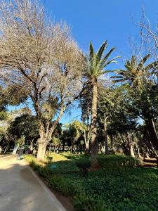 Un jardín fuera de Chambre privée vue sur jardin