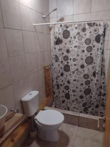 een badkamer met toilet en douchegordijn bij Amistad in Villa Gesell