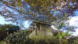 a cage on top of a hill with a tree at country estate in Pasto