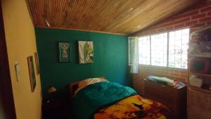 a bedroom with a green wall with a bed and a window at country estate in Pasto