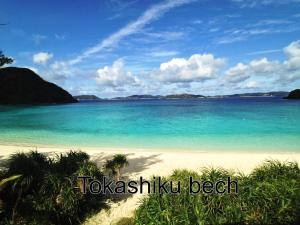 a view of a beach with turquoise water at Tokashiki Guest House in Tokashiki