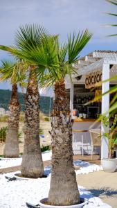 Gallery image of Cocoon Hotel-Beach bar in Sarti