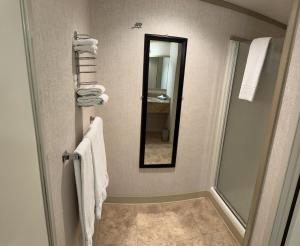 a bathroom with a mirror and white towels at Mountainside Inn 109 by Alpine Lodging Telluride in Telluride