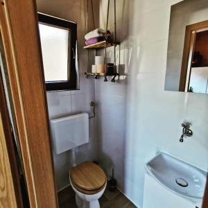 a small bathroom with a toilet and a sink at Secluded holiday house Kali, Ugljan - 23713 in Kali
