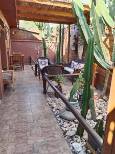 Foto sihtkohas Copiapó asuva majutusasutuse Hostal Cactus Copiapo galeriist