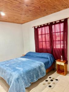 a bedroom with a blue bed and two windows at Departamento Paulina,Ubicado en lugar privilegiado de la Ciudad in Federación