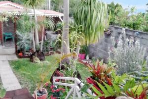 a garden with a white bench and many plants at Charmant bungalow à Saint Pierre avec vue sur montagne in Saint-Pierre