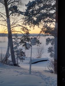 沃卡蒂Mörkölä的树旁雪覆盖的停车计