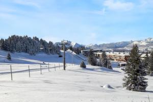 Studio cosy avec balcon et vue sur la montagne à Chamrousse - 19 m² v zimě