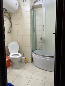 a bathroom with a shower and a toilet and a tub at Rest in Bakuriani in Bakuriani