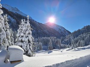 a snow covered mountain with the sun in the background at Apartpension Schollberg in Sankt Anton am Arlberg