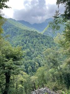 Paesaggio naturale nelle vicinanze dell'affittacamere