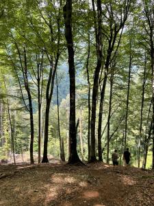 Paesaggio naturale nelle vicinanze dell'affittacamere