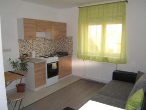 Η κουζίνα ή μικρή κουζίνα στο Kultúrház Apartman