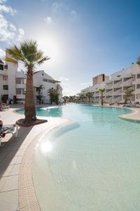 a large swimming pool with a palm tree and buildings at Paloma Beach Apartments in Los Cristianos