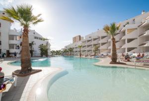 a large swimming pool with palm trees in a resort at Paloma Beach Apartments in Los Cristianos