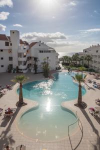 a large swimming pool with palm trees and buildings at Paloma Beach Apartments in Los Cristianos