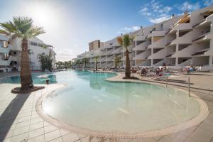 a large swimming pool with palm trees in a resort at Paloma Beach Apartments in Los Cristianos