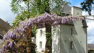 einen Kranz mit lila Blumen, die von einem Gebäude hängen in der Unterkunft Château Bily B&B Hôtel in La Chèze