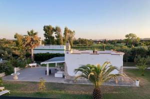 an aerial view of a house with a palm tree at Baia dell Alba in Termoli