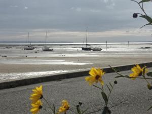 a group of boats on the beach with yellow flowers at Foudebassan in La Teste-de-Buch +6 photos