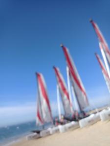 a row of sail boats on the beach at Foudebassan in La Teste-de-Buch