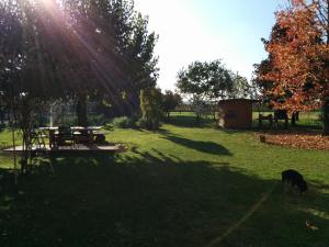 a dog standing in the grass near a picnic table at Holiday Home La Moranda in San Fior di Sopra