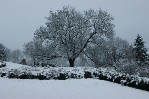 Chateau Neufays durante l'inverno