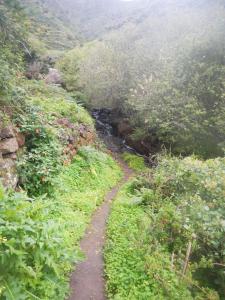 a dirt path leading down a hill with a stream at Albergue Montes de Anaga in El Bailadero