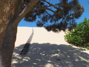 Fotografie z fotogalerie ubytování Camping de la Dune "Les Flots Bleus" v destinaci Pyla Sur Mer