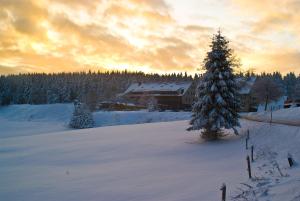 Gallery image of Hotel Zum Schneekopf "Garni" in Gehlberg