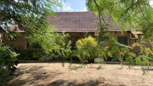 En have udenfor Moyo Mmoja Guesthouse