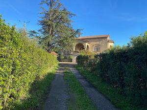 eine Straße, die zu einem Haus mit einem Baum führt in der Unterkunft Grande maison et piscine privée in Saint-Ambroix