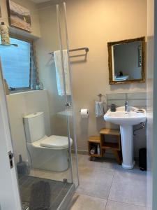a bathroom with a toilet and a sink at The Wood Owl Nature's Valley in Natureʼs Valley