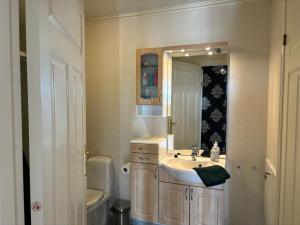 a bathroom with a sink and a toilet and a mirror at Konglefaret - apartment in Hønefoss in Hønefoss