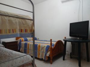 TV a/nebo společenská místnost v ubytování Habitacion Privada 3 personas en Toledo