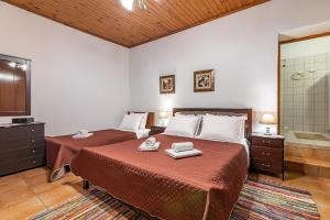 a bedroom with two beds and a shower at Kalos Vintage Villa in Kalós