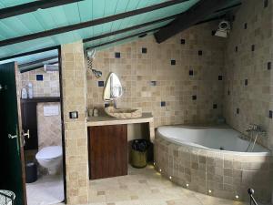 Le BrocにあるAppartement 110m2 Jacuzzi & Vueのバスルーム(バスタブ、トイレ付)