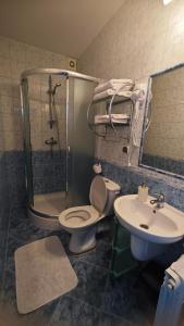 a bathroom with a toilet and a sink and a shower at Pokoje i Apartament u Lucyny in Czarna Góra +24 photos