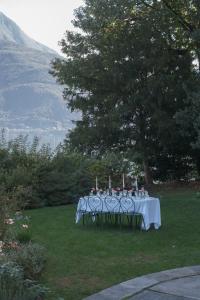 Příroda nedaleko vily + 35 fotografií