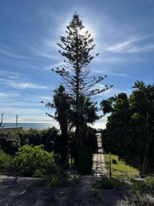 Příroda nedaleko prázdninového domu